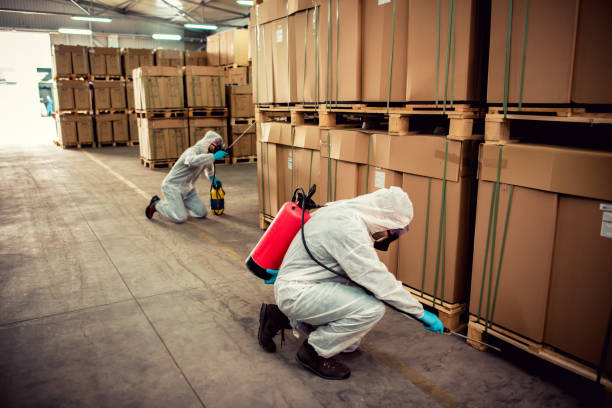 Trusted Zilwaukee, MI Pest Control Experts