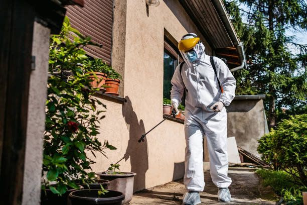 Best Affordable Pest Control Services  in Zilwaukee, MI
