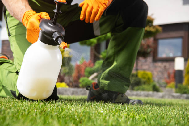 Best Mosquito Control Services  in Zilwaukee, MI