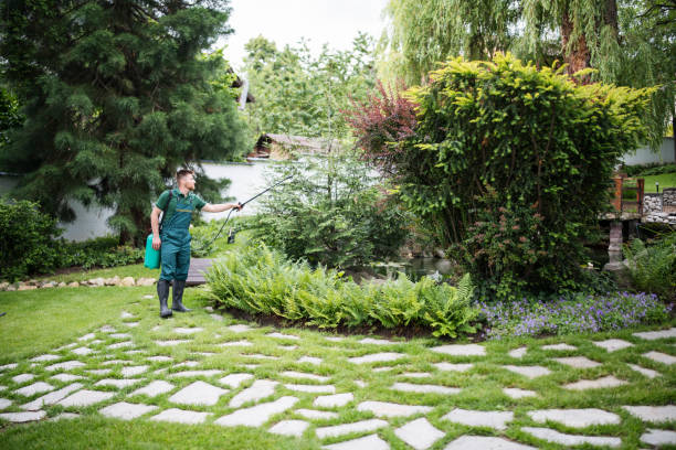 Best Bird Control  in Zilwaukee, MI