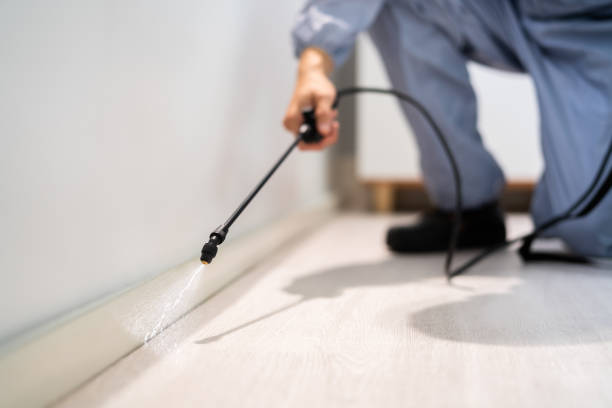 Best Pest Control for Homes  in Zilwaukee, MI